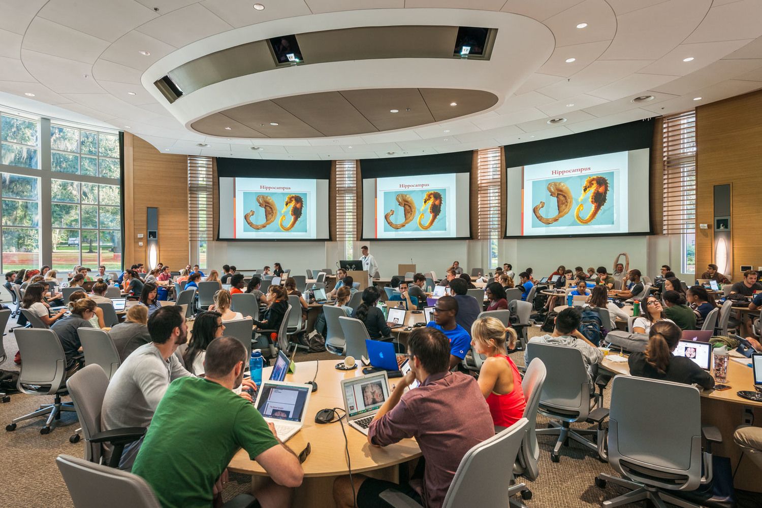 Large lecture being conducted in Harrell Medical education building at University of Florida