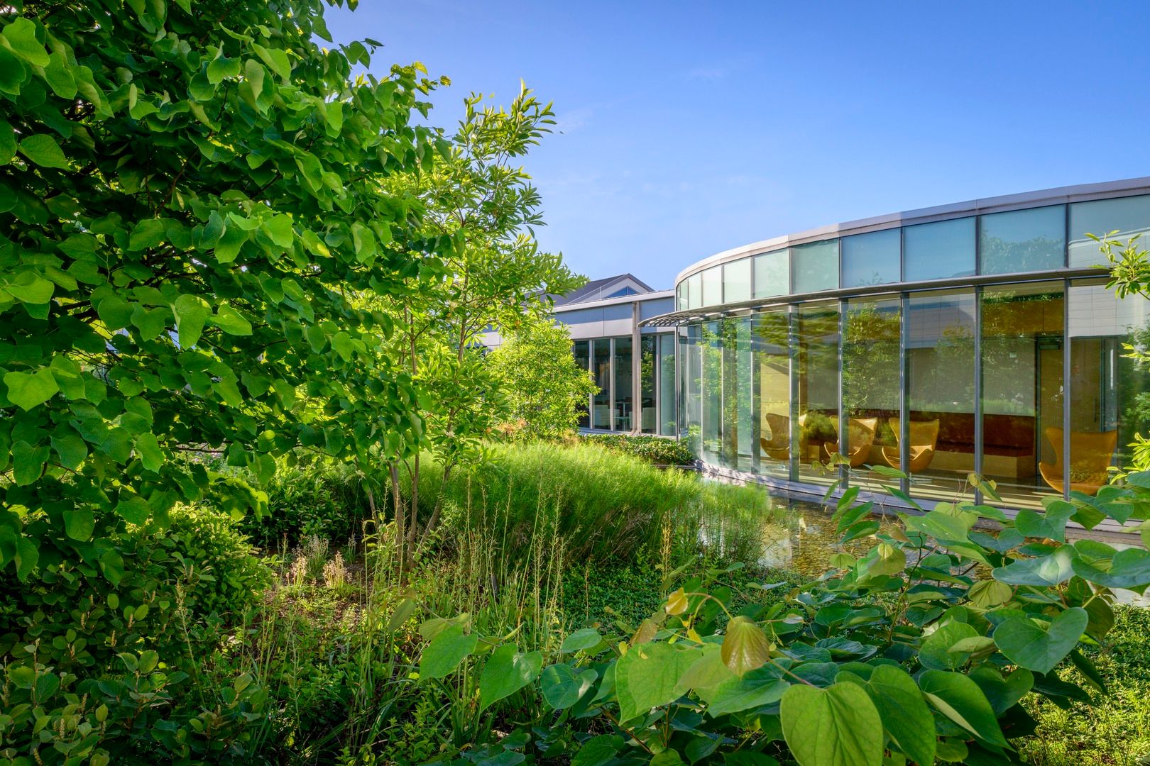 Green landscape from outside the Ann B Barshinger Cancer Institute in Lancaster, PA
